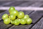 Responsive Webdesign - Weinfachwerk - Weingut Dirk Reitz - Ernst/Mosel