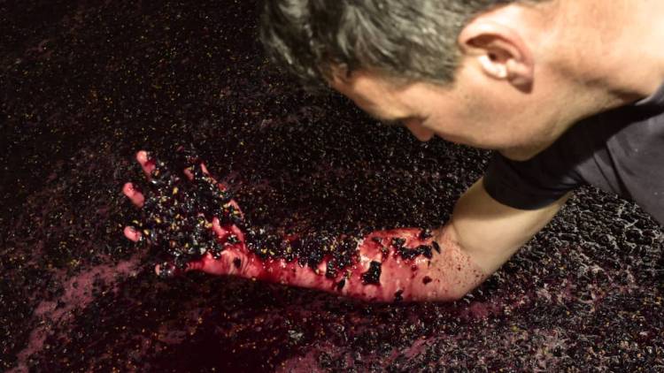 Aus Weingut Reitz wird zu Weinfachwerk