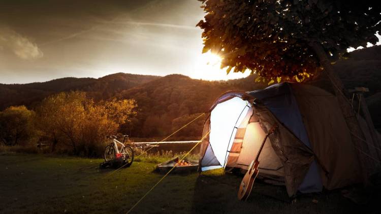 Responsive Webdesign - Logo Campingplatz Zum Feuerberg - Ediger-Eller - Mosel
