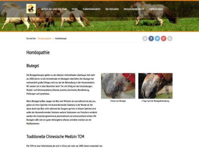 equidomus-05.jpg