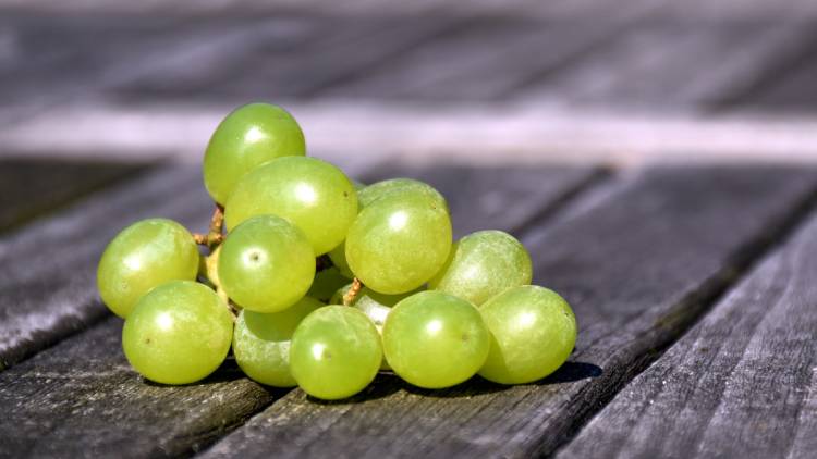 Responsive Webdesign - Weinfachwerk - Weingut Dirk Reitz - Ernst/Mosel